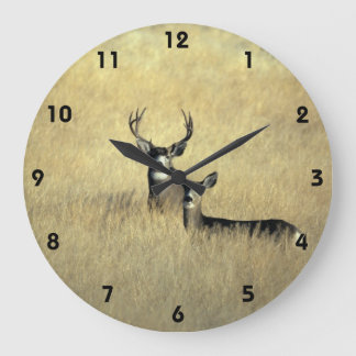 Grande Horloge Ronde Mule deer en Californie