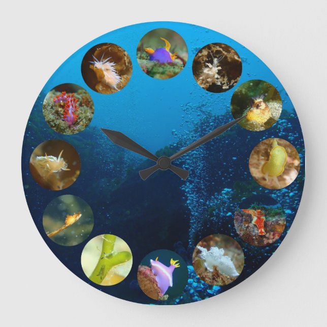 Grande Horloge Ronde Nudibranch clock (Recto)