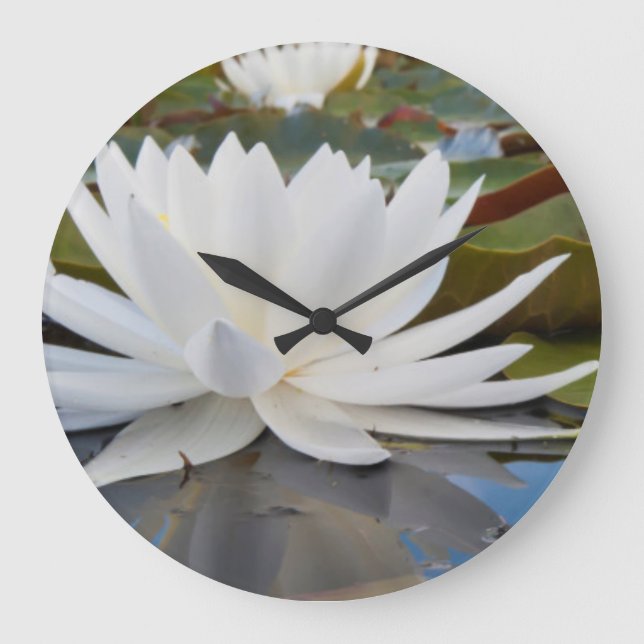 Grande Horloge Ronde Nymphéa odorant (Nymphaea Odorata) sur Caddo (Recto)