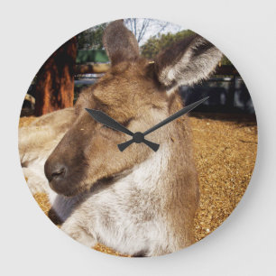 Grande Horloge Ronde Oh, Sleepy Kangaroo,