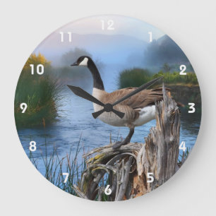 GRANDE HORLOGE RONDE OIE DU CANADA SUR LE SHASTA 2