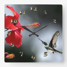 Oiseau de Humming et Fleur Rouge
