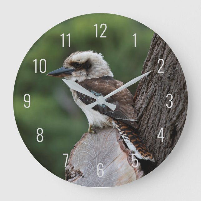 Grande Horloge Ronde Oiseaux de Kookaburra en train de rire (Recto)
