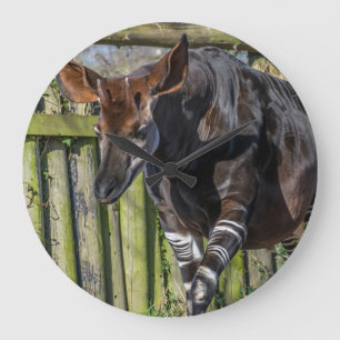 Grande Horloge Ronde Okapi à l'horloge murale de zoo