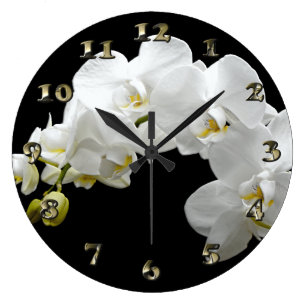 Posters Affiches Toiles Orchidee Blanche Zazzle Ca