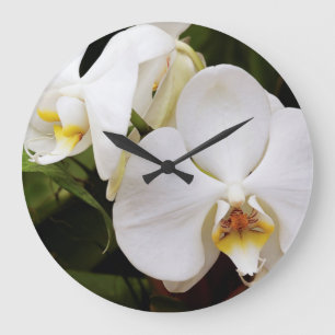 Grande Horloge Ronde Orchidée de Lune blanche (Phalaenopsis Aphrodite)