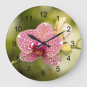 Grande Horloge Ronde Orchidée tachetée rose