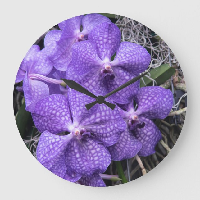 Grande Horloge Ronde Orchids bleu hawaïen (Recto)