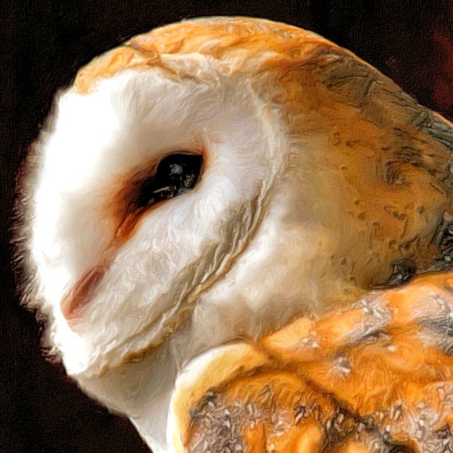 GRANDE HORLOGE RONDE OWLS (Créateur téléchargé)