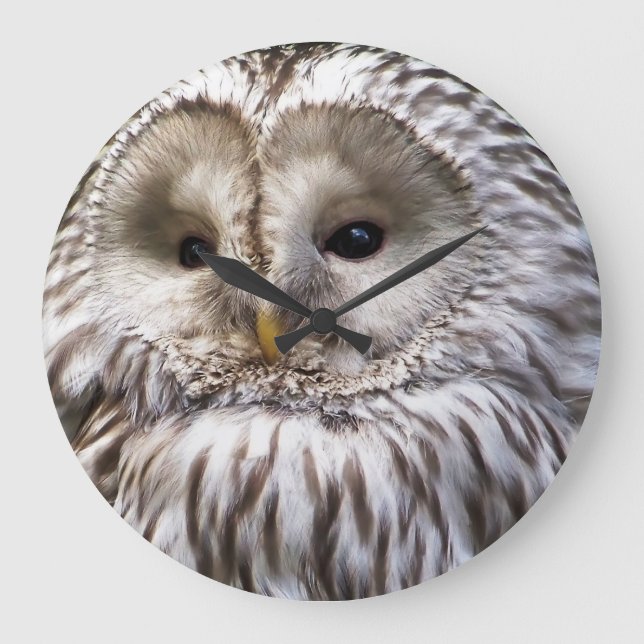 GRANDE HORLOGE RONDE OWLS (Recto)