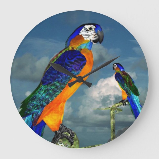 GRANDE HORLOGE RONDE PARROS HYPER / BLEUE ARA (Recto)