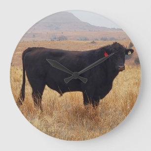 Grande Horloge Ronde Pâturage de Steer Black Angus avec son troupeau
