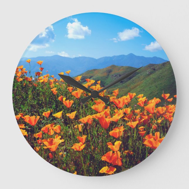 Grande Horloge Ronde Pavot de Californie recouvrant une colline (Recto)