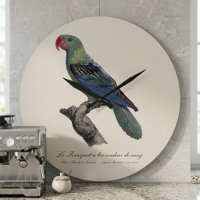 Perroquet a bec couleur sang / Perroquet à bec