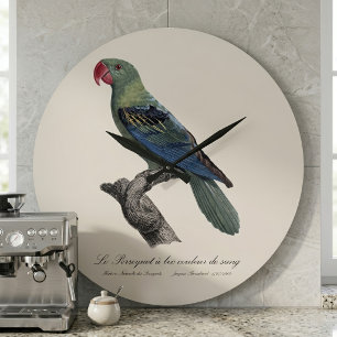 Grande Horloge Ronde Perroquet a bec couleur sang / Perroquet à bec