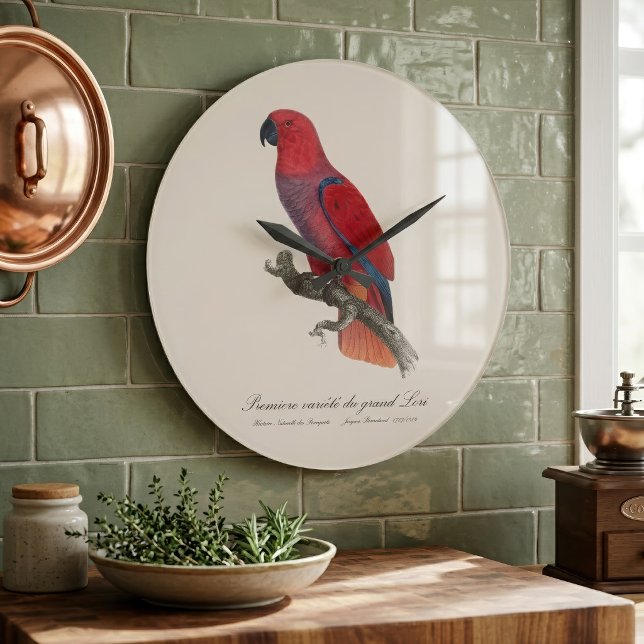 Grande Horloge Ronde Perroquet éclectus de Vosmaer, Eclectus Roratus Vo (Vosmaer Eclectus Parrot, Eclectus Roratus Vosmaeri. Large Clock)