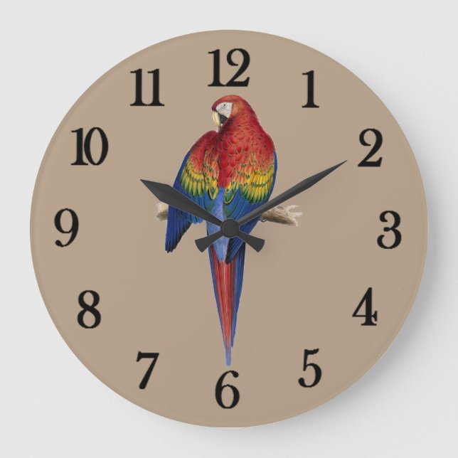 Grande Horloge Ronde Perroquet rouge (Recto)