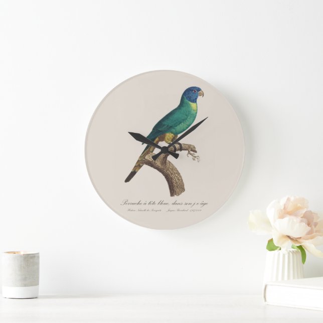 Grande Horloge Ronde Perruche a tete bleue / Rainbow lorikeet, juvénile (Maison)