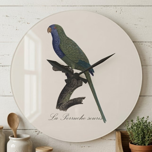 Grande Horloge Ronde Perruche Moine, Myiopsitta Monachus (Monk Parakeet or Monk Parrot, Myiopsitta Monachus. Large Clock)