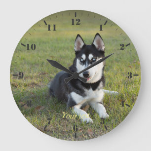 Grande Horloge Ronde Personalize Happy playful Siberian Husky puppy