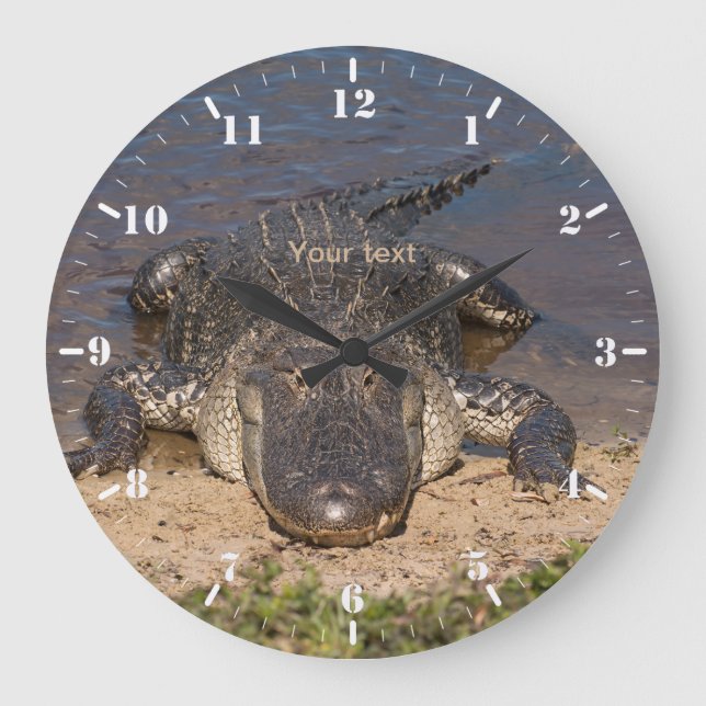 Grande Horloge Ronde Personnalisez Face à Face avec l'Alligator (Recto)