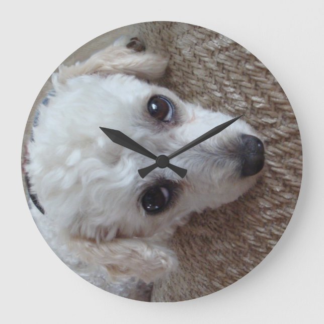 Grande Horloge Ronde Petit Chien de caniche blanc (Recto)