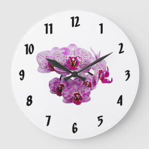 Grande Horloge Ronde Phalaenopsis OX Happy Girl Orchid