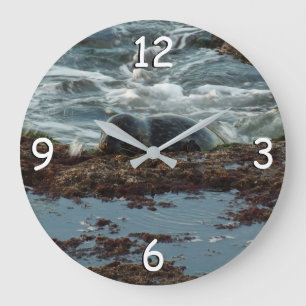 Grande Horloge Ronde Phoque de bassin illuminé par le coucher de soleil