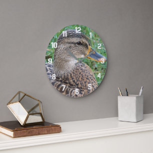 Grande Horloge Ronde Photo de cane colvert