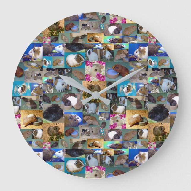 Grande Horloge Ronde Photo de Guinée Pig, Large Wall Clock (Recto)