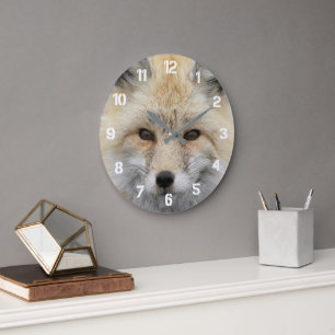 Grande Horloge Ronde Photo de la faune de Red Fox