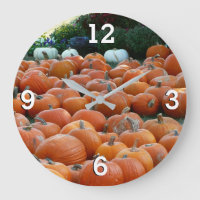 Photographie de récolte d'automne des citrouilles