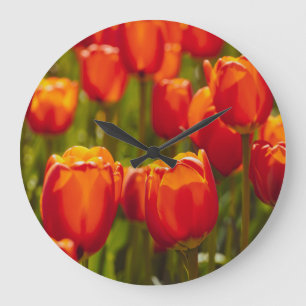 Grande Horloge Ronde Photographie des tulipes rouges.