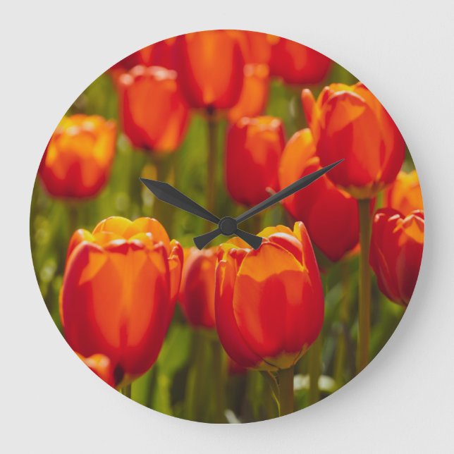 Grande Horloge Ronde Photographie des tulipes rouges. (Recto)