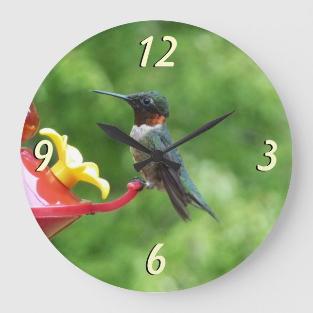 Grande Horloge Ronde Photographie d'oiseau de colibri à gorge rubis (Recto)