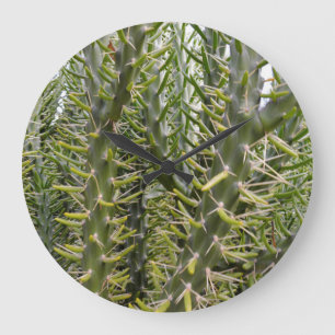 Grande Horloge Ronde Plante de cactus verte épineuse,