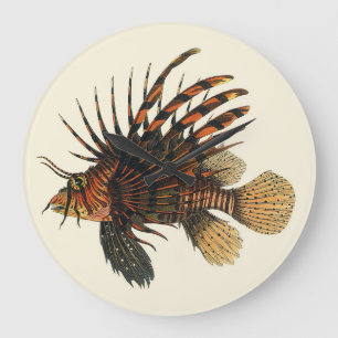 Grande Horloge Ronde Poisson Lion de Mer, Animaux de la Vie Marine Océa