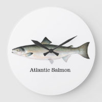 Poissons de saumon atlantique