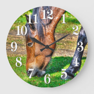 Grande Horloge Ronde Pony Pony Equine Photo Amateurs de chevaux