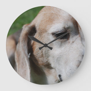 Grande Horloge Ronde portrait beagle