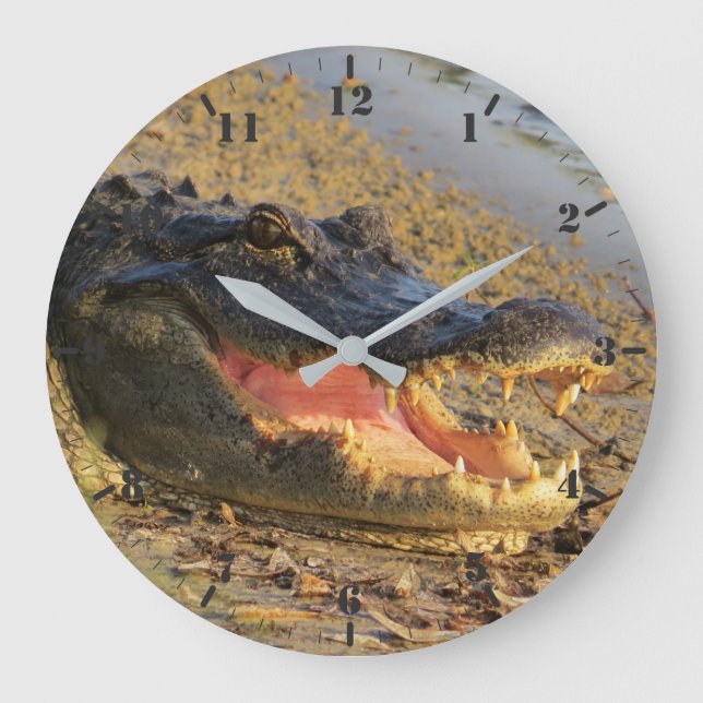 Grande Horloge Ronde Portrait de Floride (Recto)