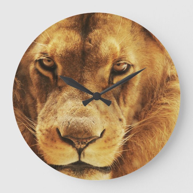 Grande Horloge Ronde Portrait de lion africain mâle. (Recto)