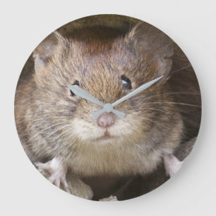 Grande Horloge Ronde Portrait de souris