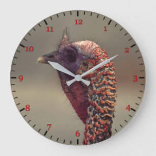 Grande Horloge Ronde Portrait d'oiseau turc