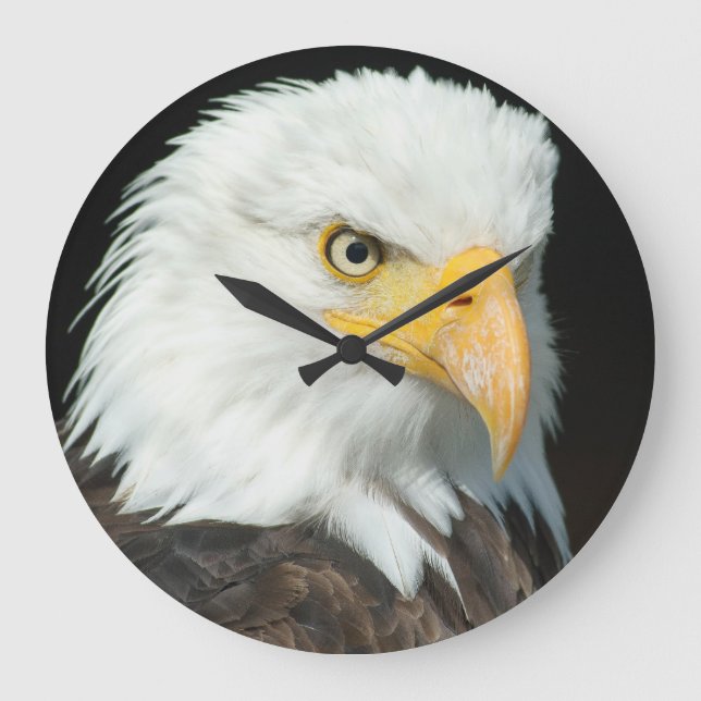 Grande Horloge Ronde Portrait majestueux d'Eagle chauve (Recto)