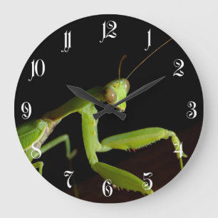 Grande Horloge Ronde Praying mantid