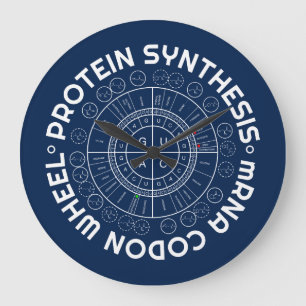 Grande Horloge Ronde PROTEIN SYNTHESIS - mRNA to AMINO ACID CODON WHEEL