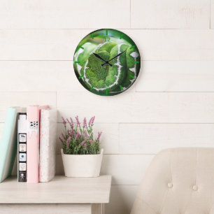 Grande Horloge Ronde Python