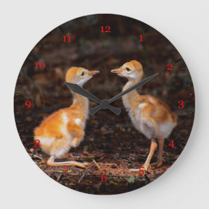 Grande Horloge Ronde Qui est plus grand ? Poussins de graine de Sandhil