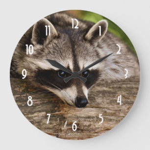 Grande Horloge Ronde Raccoon mignon reposant sur un journal